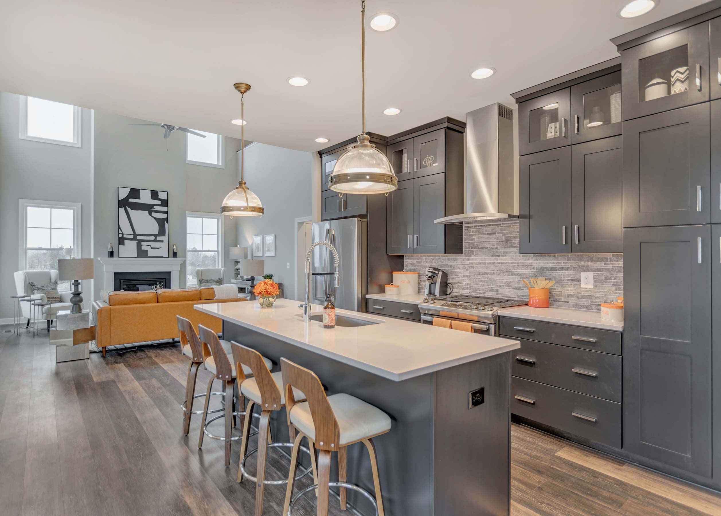 Custom Kitchen and Living Room 